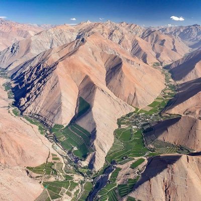 AndreaBannach's profile picture. 