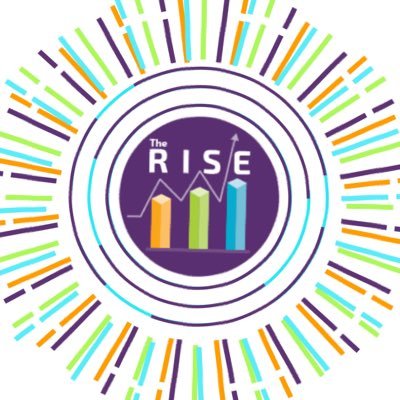 The Rise After School & Mentoring Programs