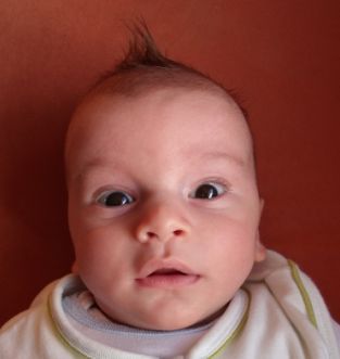 AllesIsVoor's profile picture. MCT, Office 365, Azure, MCSE 2012, MCSA 2016, Windows 8, SQL, MS Certified since 2000