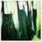 Appetite4Books's profile image