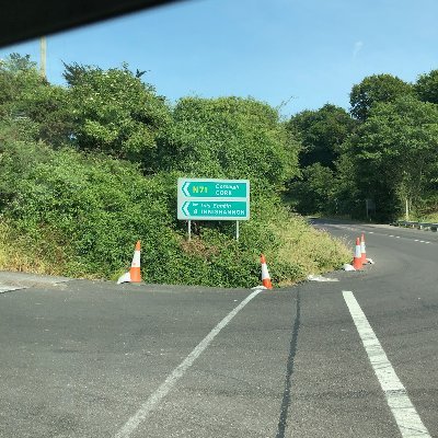 Shannon Brown Profile