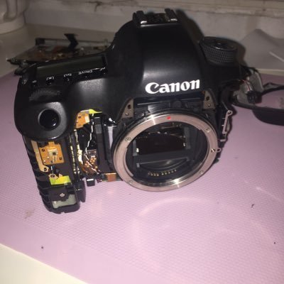 EidanYosonPhoto's profile picture. Like doesnt mean endorsement, its only a bookmark.