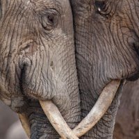 TheReformRepublican (@thereformrepub1) 's Twitter Profile