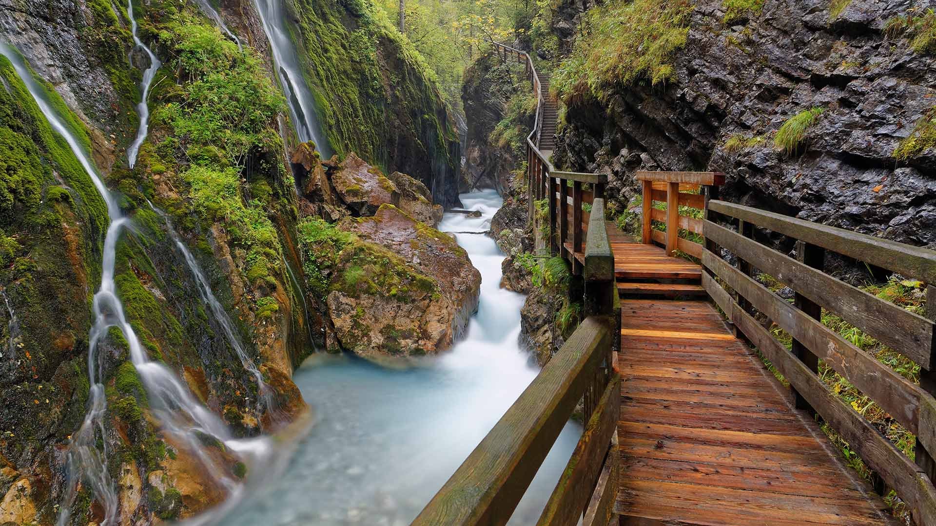 世界を旅して色々なところを写真に収めて回る、のが夢です（笑）
今は世界中の綺麗な写真を毎日眺めて日々のモチベーションアップに努めています…(*´σｰ｀)