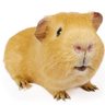 FeudaleG's profile picture. 