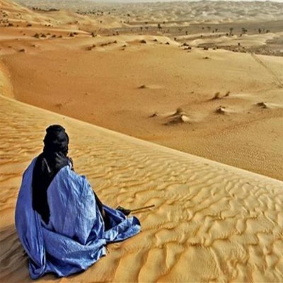 medmokhtar87's profile picture. 