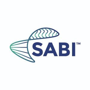 Empowering medical professionals with cutting-edge technology and techniques in body imaging. Join SABI in advancing patient care and research.