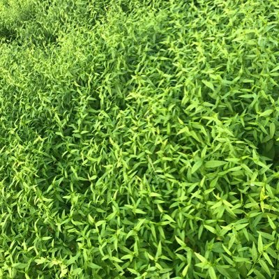 Saidou47053724's profile picture. 