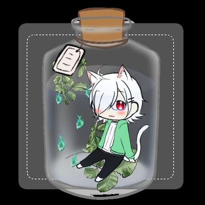 HAKU 🐾さんのプロフィール画像