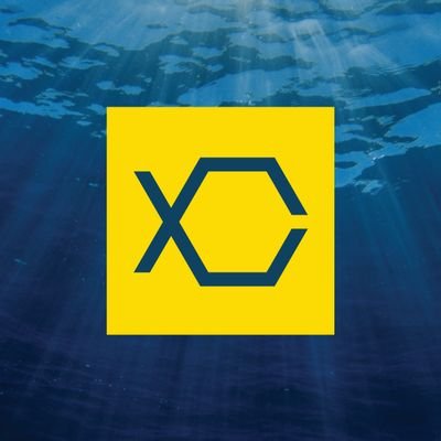 boxfishrobotics Profile Picture