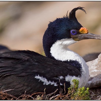 Worbzs's profile picture. I do shit