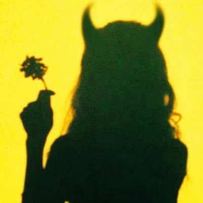 iiwvoii's profile picture. 🕷🕸🦋