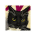 nantas's profile picture. Indie developer, #udk & #unity3d user. Our first iOS game: http://t.co/Xbh03fwttv | ex2D - Best 2D sprite solution for Unity http://t.co/QGkZrj6a4k