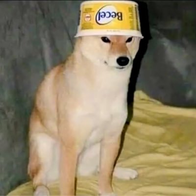 yes