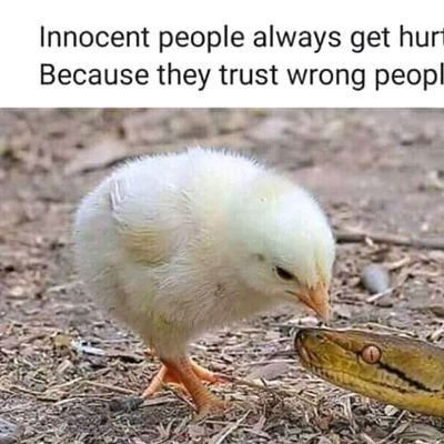 lucy_lavigne's profile picture. Wife, mother, young doctor, passionate about change