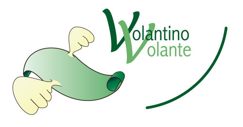 Volantino Volante è la piattaforma italiana di Print! GmbH & Co. KG, una stamperia online, che opera sul campo internazionale.