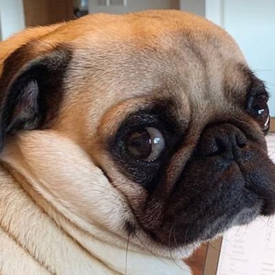 alex_mow's profile picture. 