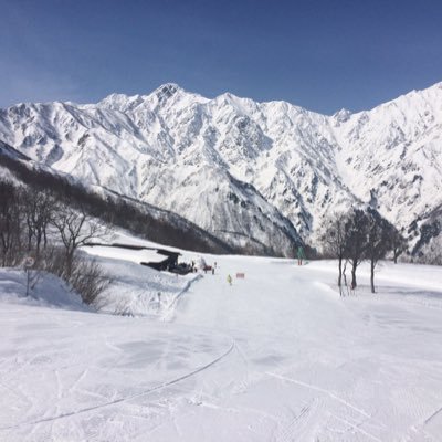年間50ラウンドくらい(冬場3ヶ月は雪で回れないので)ほぼ県内のゴルフ場が多い50代のオッちゃんゴルファーです。冬場はゴルフ歴より長いスキーでトレーニングしております。