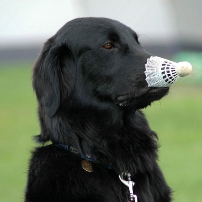 ludovicpoujol's profile picture. Humain de #Marseille, #Velotaf et AdminSys le jour, h4ck3r le dimanche et logiciel libre. 
Manie aussi bien le retweet ici que le repouet sur Mastondon (il/lui)