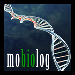 MoBiolog's profile picture. Few times a month, without wasting your time, MoBiolog will share only the most exciting news and reviews related to iOS, Android, Win7 phones and apps.