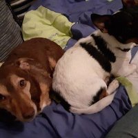 Henry (@henry64543669) 's Twitter Profile Photo