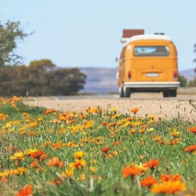 Al_tamimi_q's profile picture. 