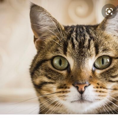 estelle96292523's profile picture. 