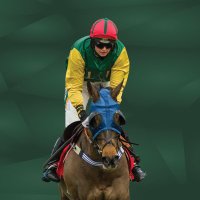 Pointing East Anglia (@pointingea) 's Twitter Profile