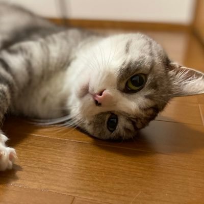 popuさんのプロフィール画像