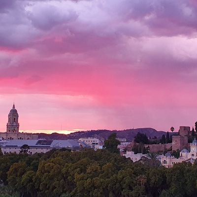 Lynn63710061's profile picture. 🏳️‍🌈