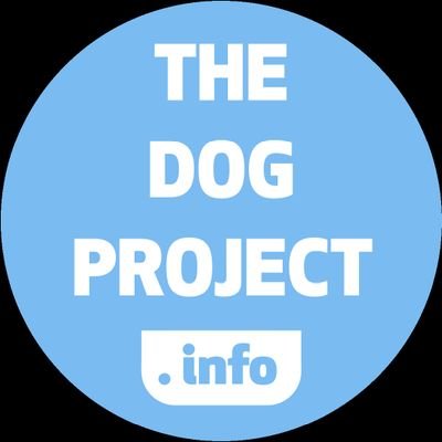 The Dog Project