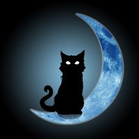 Swini (@swinis_place) 's Twitter Profile