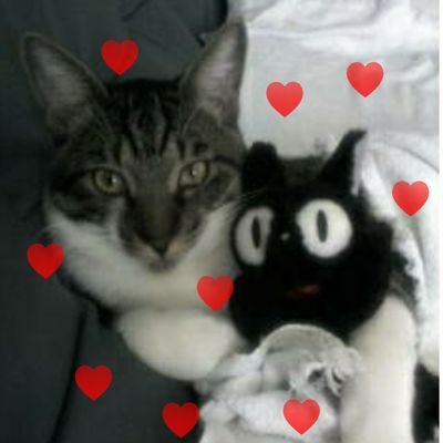 いつもいいね、RT、フォローありがとうございます😊
乳ガン経験治療中💉動物🐱💗空☁龍神様🐲健康🏃食🍮鬼滅の刃📕興味のあることつぶやいてます。前向きになる気持ち皆さんからもらってます😆💗@kana3102yans
もどうぞよろしく🌟
