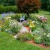 Gardening at Home (@4homegardening) Twitter profile photo Gardening at Home (@4homegardening) Twitter profile photo