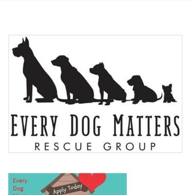 Our mission is to rescue, rehabilitate, re-home unwanted dogs by creating better lives for them through rescue, foster, training, and adoption 🐾❤