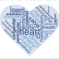 Department of Cardiovascular Sciences - KU Leuven (@cardio_kuleuven) 's Twitter Profile