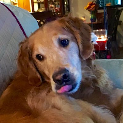 followme829's profile picture. 