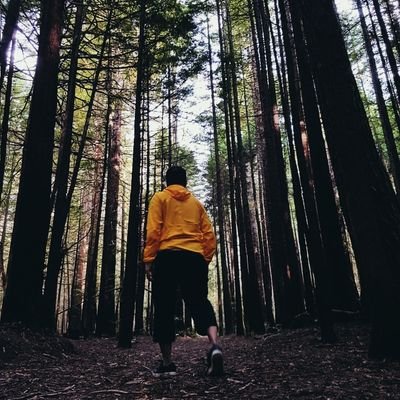 dynamik66578765's profile picture. 