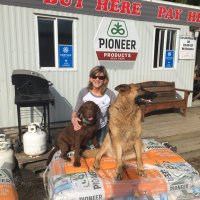 julianne&david rhodes (@juliannerhode17) 's Twitter Profile Photo