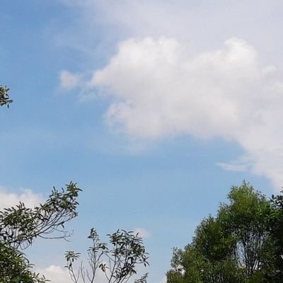 yoyoseop__'s profile picture. 