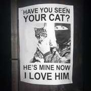 TrebleSixx's profile picture. After the rain