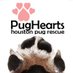 PugHearts of Houston (@pughearts) Twitter profile photo PugHearts of Houston (@pughearts) Twitter profile photo