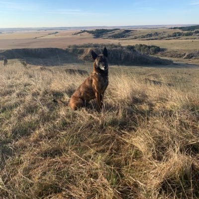 K9 for the Custer County Sheriff’s Office in Broken Bow, NE