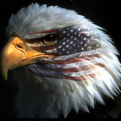 American by birth! Southern by the Grace of God! If it doesn't fit, you must Acquit! once a democrat! never again! not the party of Biden! #maga #kag #walkaway