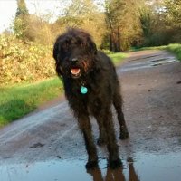 helen white-cooper (@flyprofhelen) 's Twitter Profile Photo helen white-cooper (@flyprofhelen) 's Twitter Profile Photo