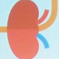 @Kidney_Mar (@kidney_mar) 's Twitter Profile Photo @Kidney_Mar (@kidney_mar) 's Twitter Profile Photo