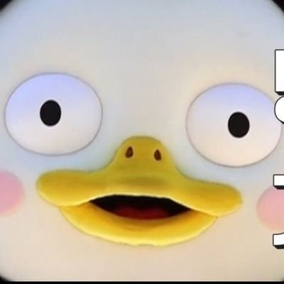 qkrwl209's profile picture. 