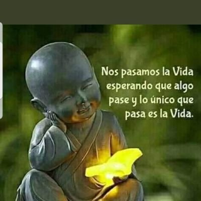 FedericoFG3's profile picture. 