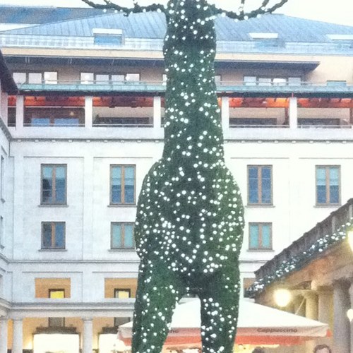 ncrubens's profile picture. 