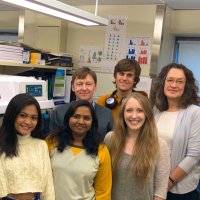 Mongin Lab (@labmongin) 's Twitter Profile